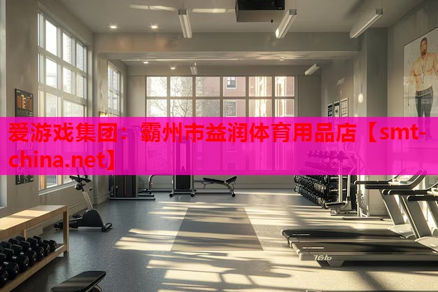 爱游戏集团：霸州市益润体育用品店