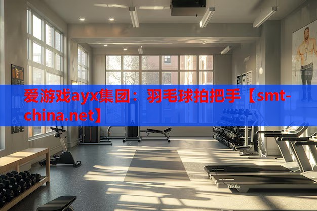 爱游戏ayx集团：羽毛球拍把手