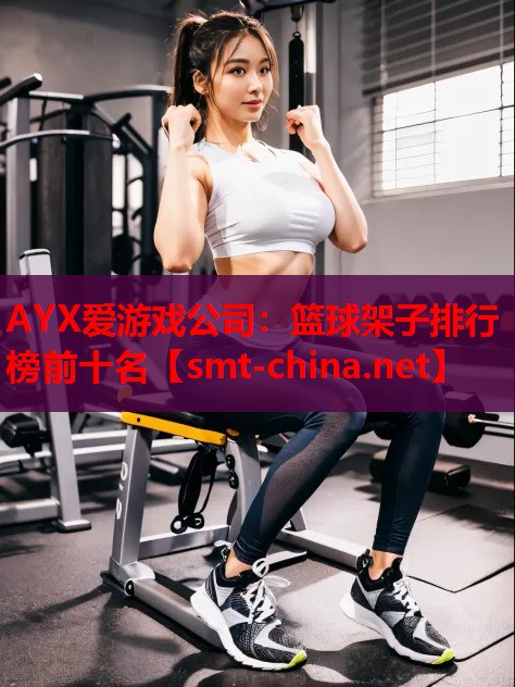 AYX爱游戏公司：篮球架子排行榜前十名