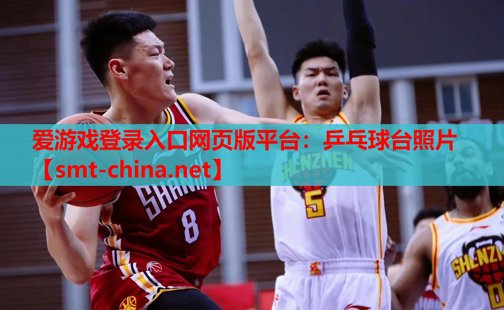 爱游戏登录入口网页版平台：乒乓球台照片