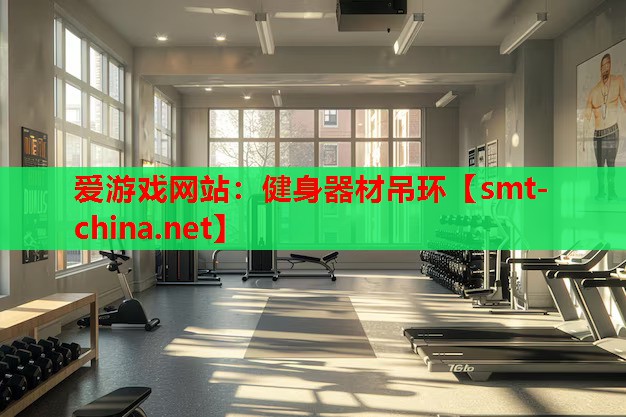 爱游戏网站：健身器材吊环