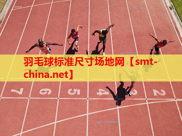 羽毛球标准尺寸场地网