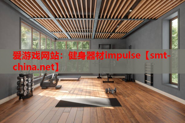 爱游戏网站：健身器材impulse