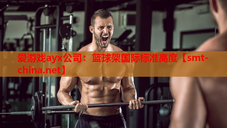 爱游戏ayx公司：篮球架国际标准高度