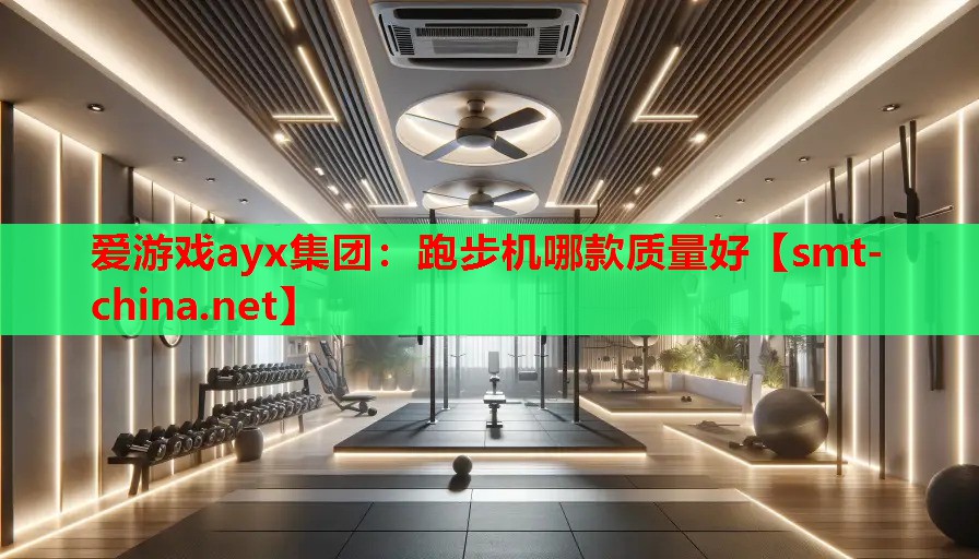 爱游戏ayx集团：跑步机哪款质量好