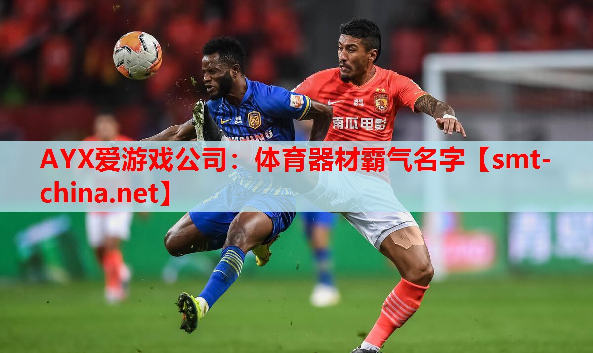 AYX爱游戏公司：体育器材霸气名字