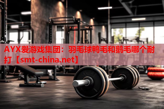 AYX爱游戏集团：羽毛球鸭毛和鹅毛哪个耐打