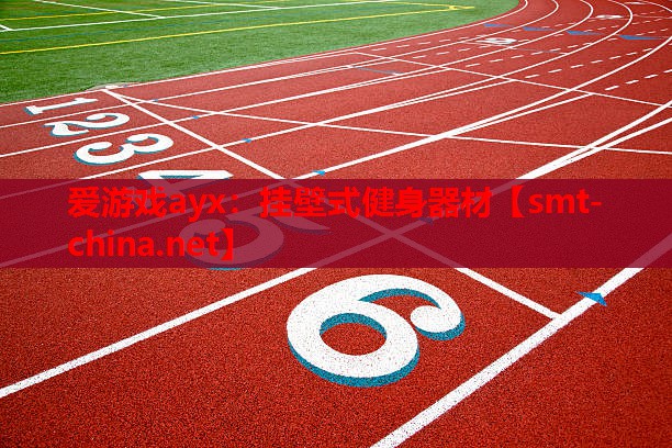挂壁式健身器材 挂壁式健身器材