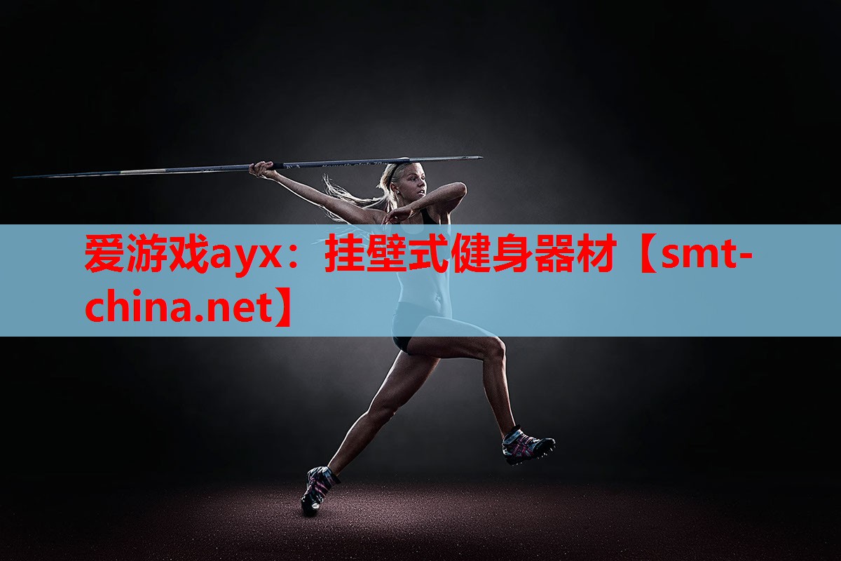 挂壁式健身器材 挂壁式健身器材