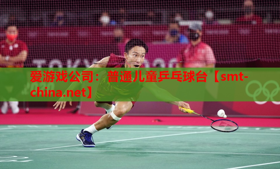 普通儿童乒乓球台 普通儿童乒乓球台
