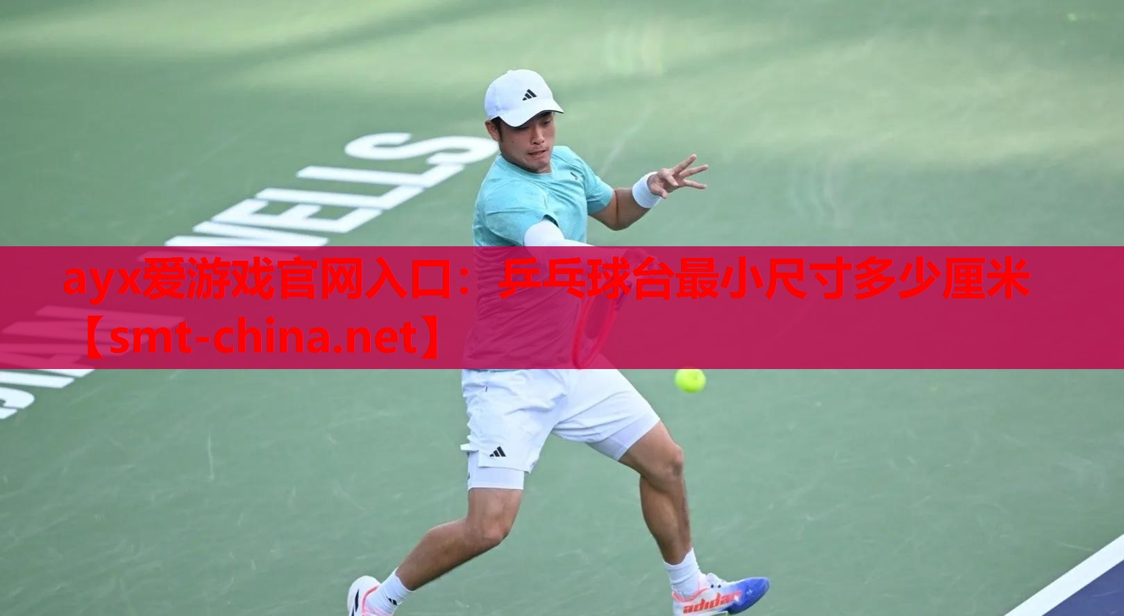 乒乓球台最小尺寸多少厘米 乒乓球台最小尺寸多少厘米