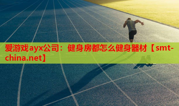健身房都怎么健身器材 健身房都怎么健身器材