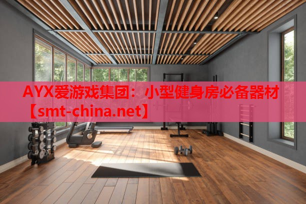 小型健身房必备器材 小型健身房必备器材