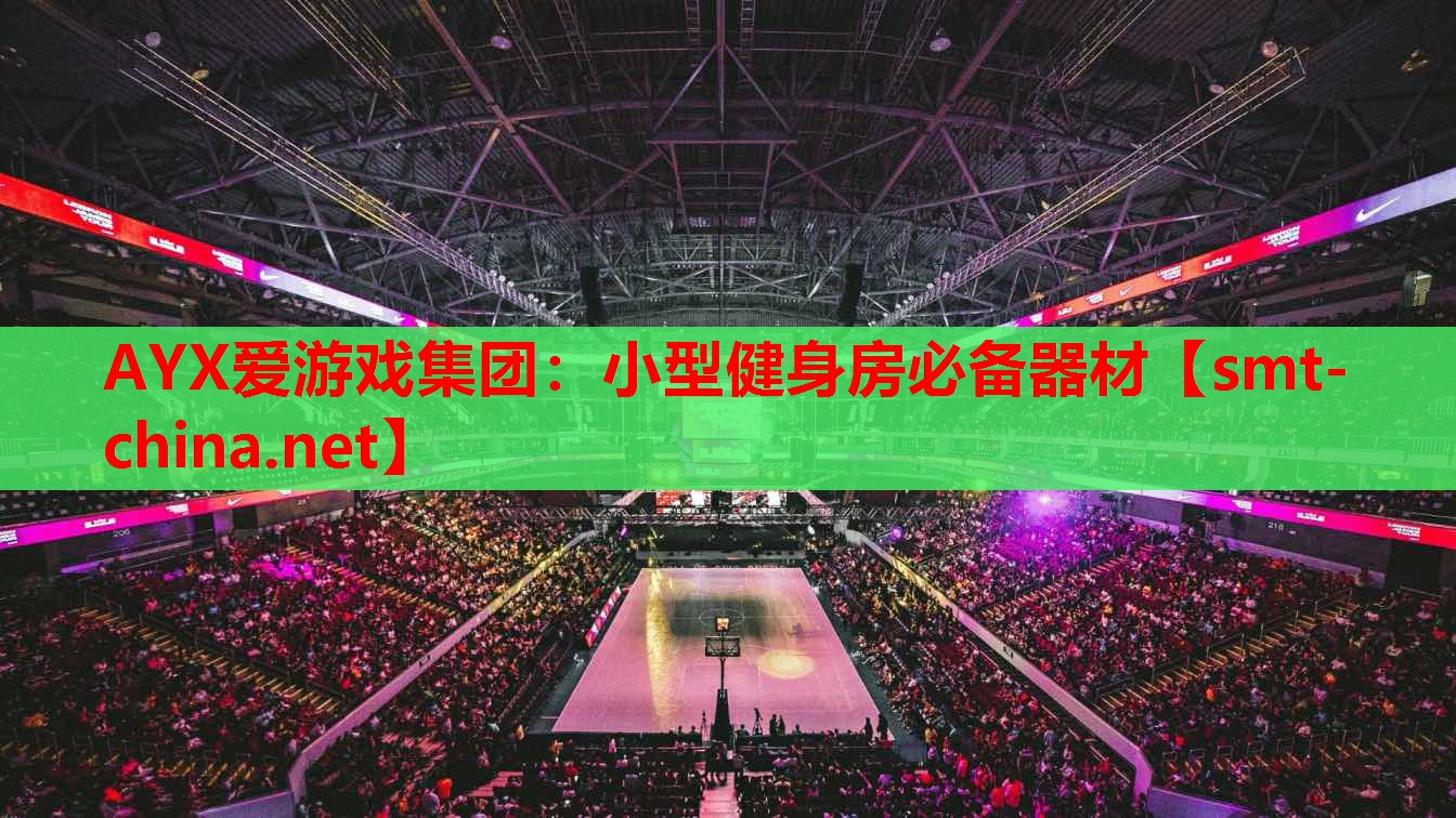 小型健身房必备器材 小型健身房必备器材