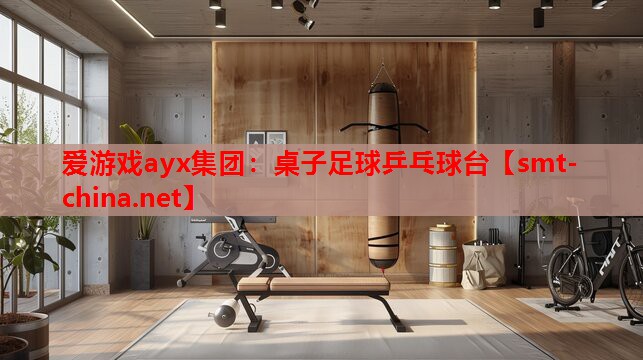 桌子足球乒乓球台 桌子足球乒乓球台