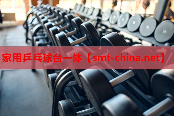 家用乒乓球台一体 家用乒乓球台一体