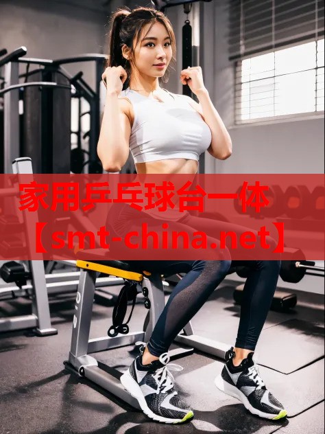 家用乒乓球台一体 家用乒乓球台一体