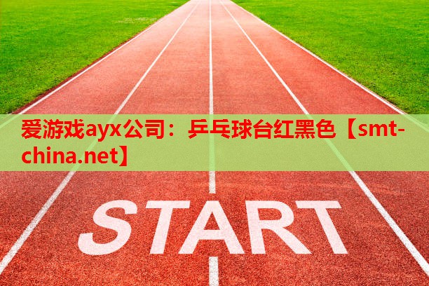 乒乓球台红黑色 乒乓球台红黑色