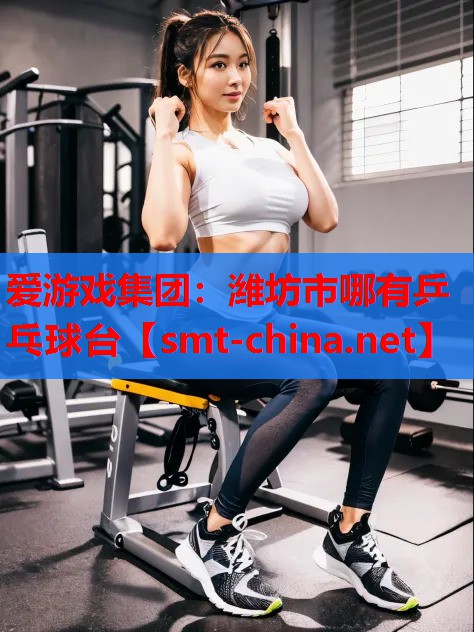 潍坊市哪有乒乓球台 潍坊市哪有乒乓球台