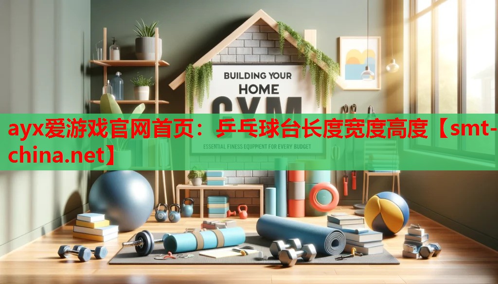 乒乓球台长度宽度高度 乒乓球台长度宽度高度