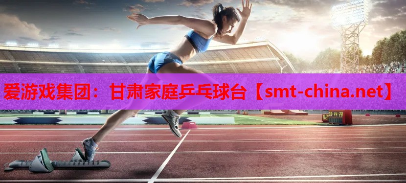 甘肃家庭乒乓球台 甘肃家庭乒乓球台