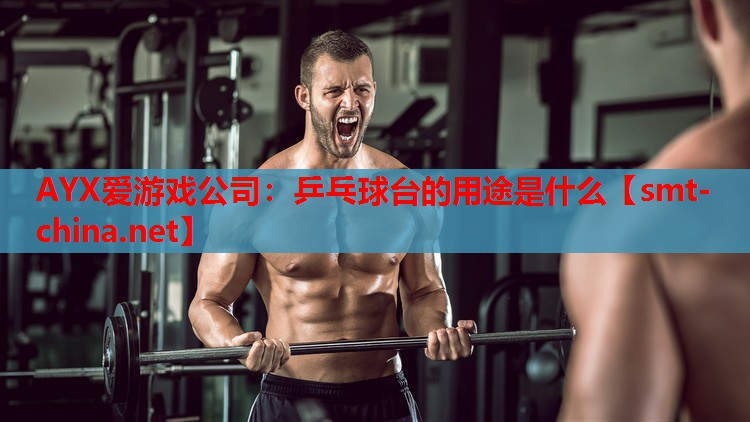乒乓球台的用途是什么 乒乓球台的用途是什么