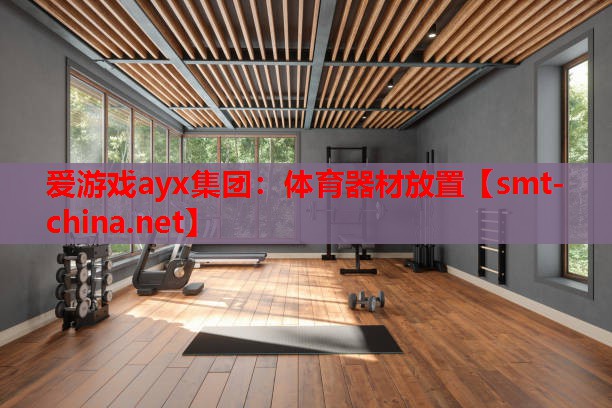 体育器材放置 体育器材放置