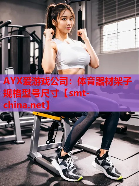 体育器材架子规格型号尺寸 体育器材架子规格型号尺寸
