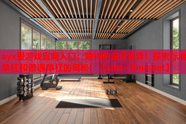 独特的设计差异!探索标准单杠和普通单杠的奥秘! 独特的设计差异!探索标准单杠和普通单杠的奥秘!