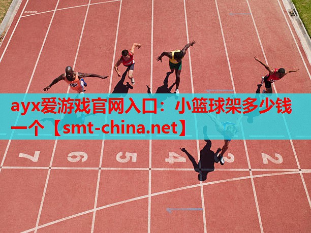 小篮球架多少钱一个 小篮球架多少钱一个