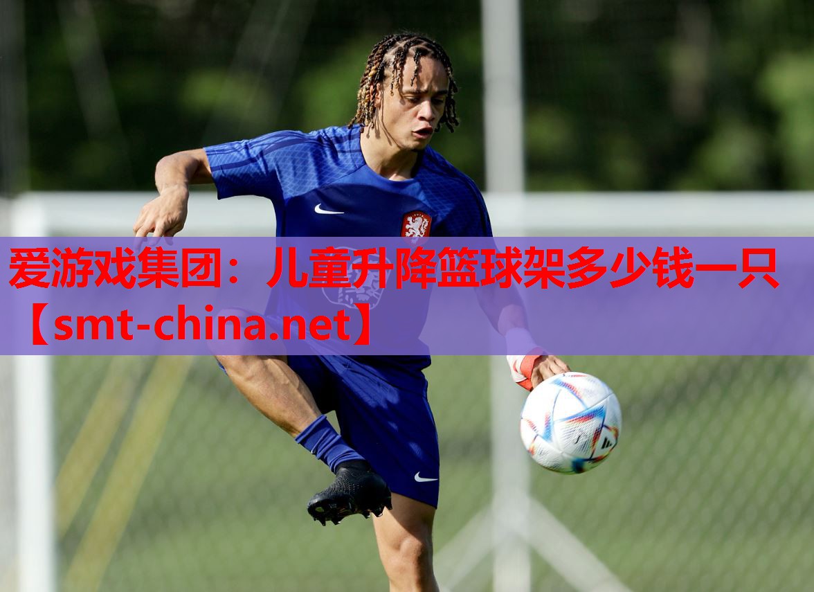 儿童升降篮球架多少钱一只 儿童升降篮球架多少钱一只