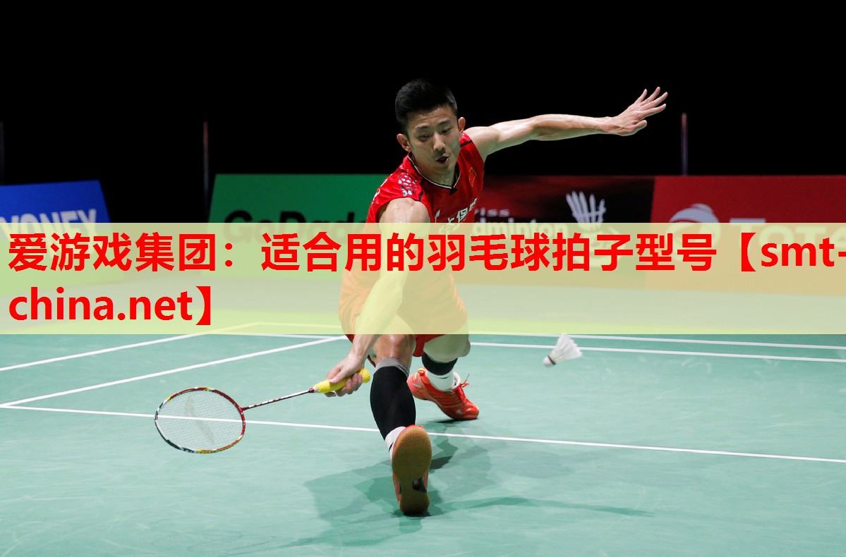 适合用的羽毛球拍子型号 适合用的羽毛球拍子型号