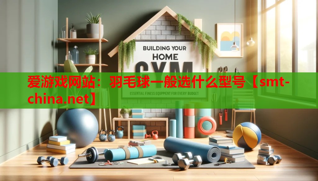 羽毛球一般选什么型号 羽毛球一般选什么型号