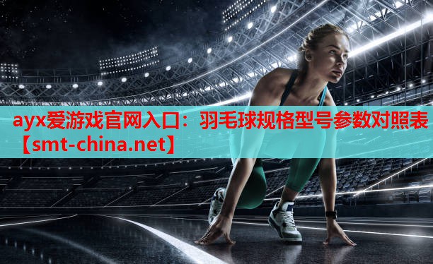 羽毛球规格型号参数对照表 羽毛球规格型号参数对照表
