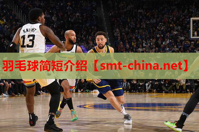 羽毛球简短介绍 羽毛球简短介绍