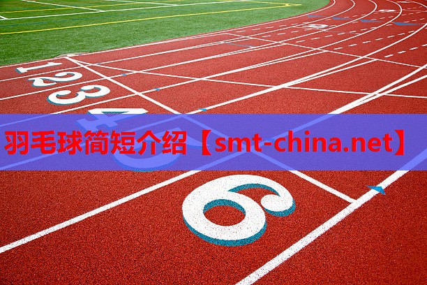 羽毛球简短介绍 羽毛球简短介绍