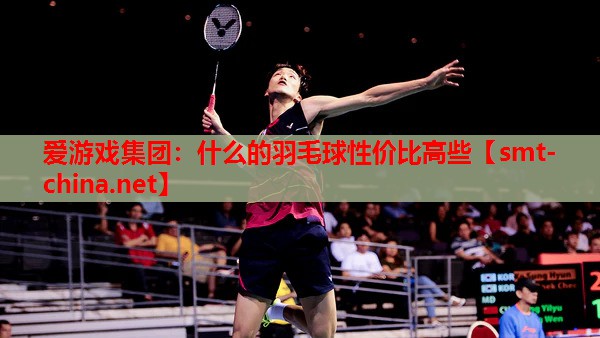 什么的羽毛球性价比高些 什么的羽毛球性价比高些