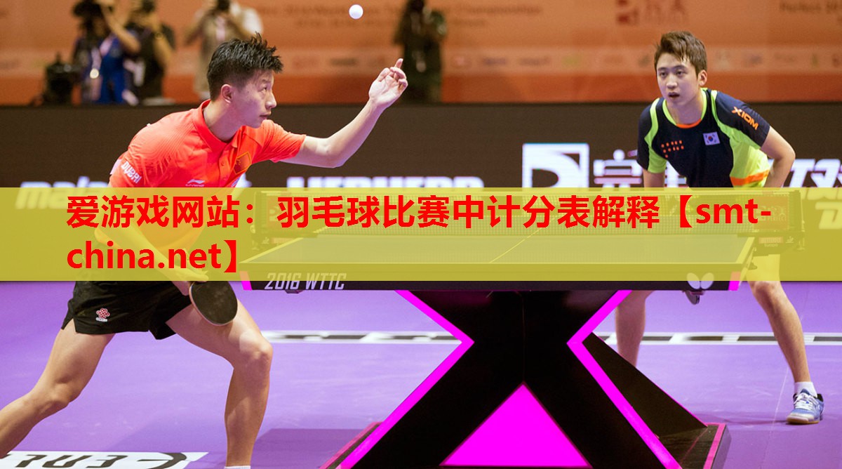 羽毛球比赛中计分表解释 羽毛球比赛中计分表解释