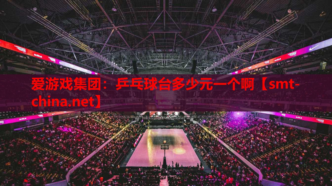 乒乓球台多少元一个啊 乒乓球台多少元一个啊