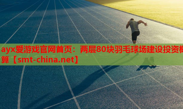 两层80块羽毛球场建设投资概算 两层80块羽毛球场建设投资概算