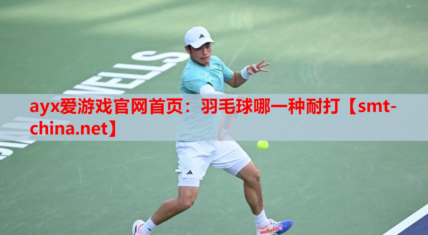 羽毛球哪一种耐打 羽毛球哪一种耐打