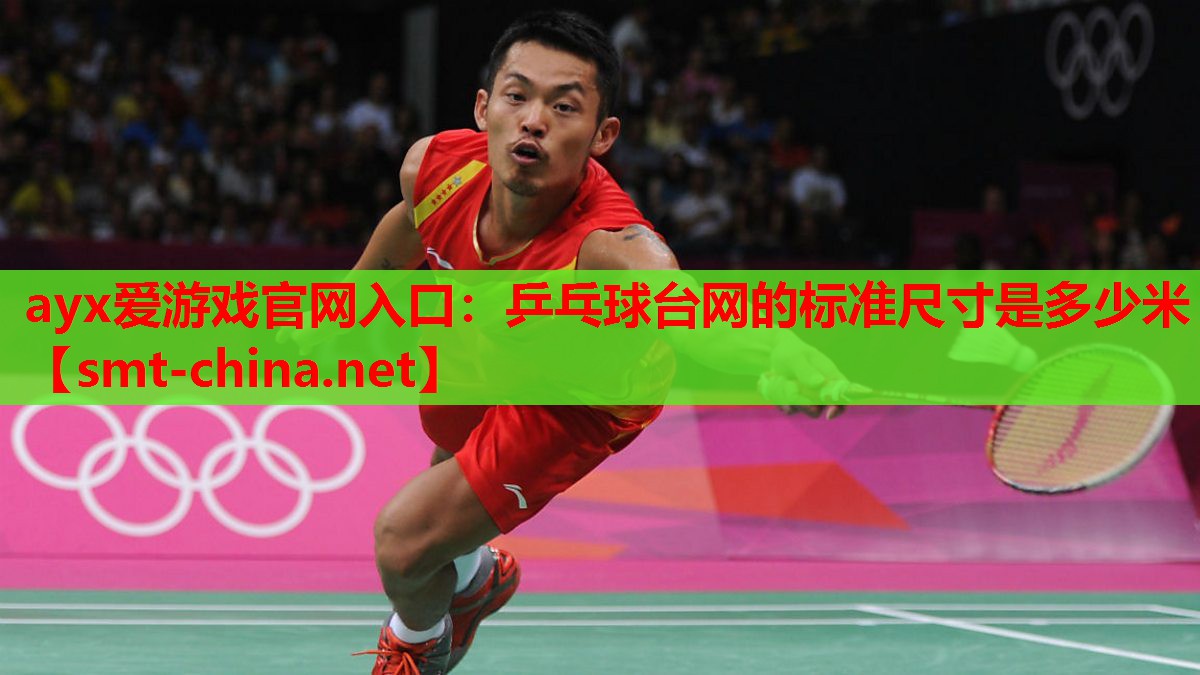 乒乓球台网的标准尺寸是多少米 乒乓球台网的标准尺寸是多少米