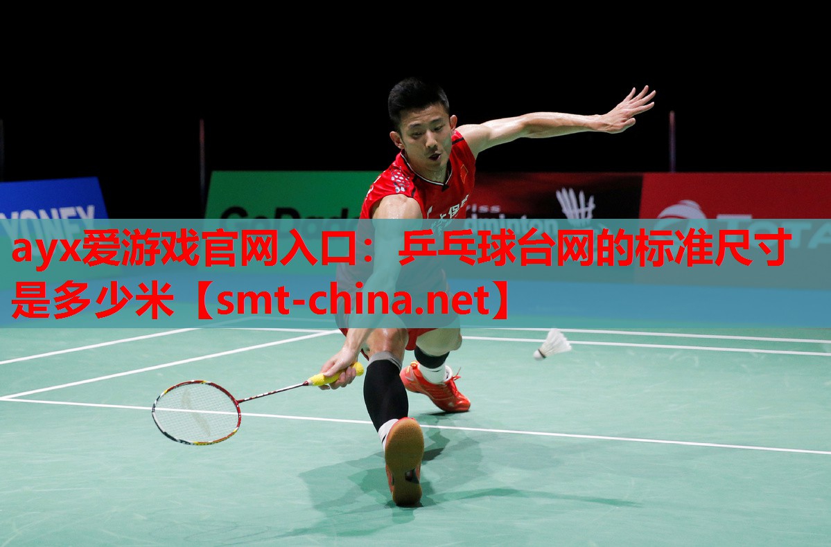 乒乓球台网的标准尺寸是多少米 乒乓球台网的标准尺寸是多少米