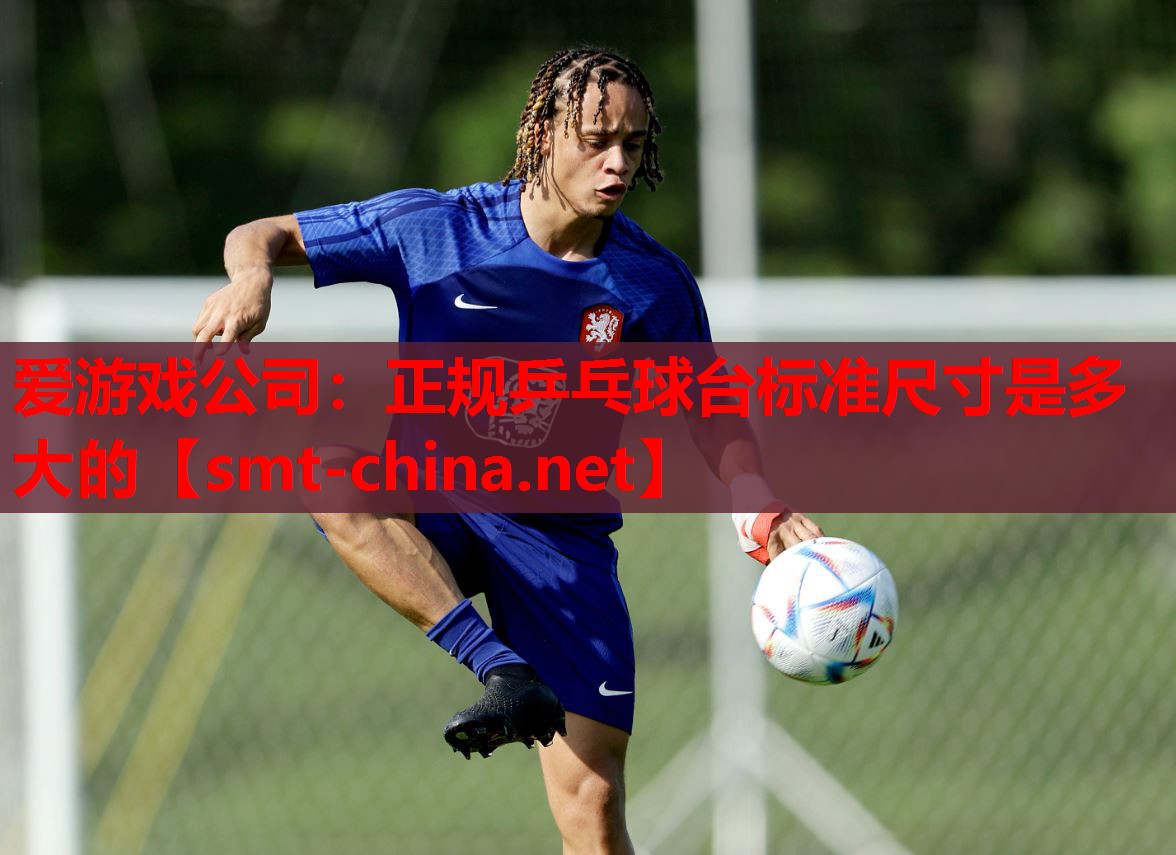 正规乒乓球台标准尺寸是多大的 正规乒乓球台标准尺寸是多大的