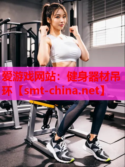 健身器材吊环 健身器材吊环