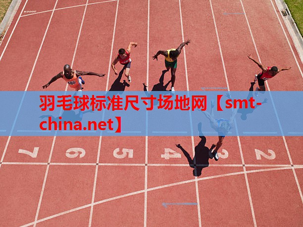 羽毛球标准尺寸场地网 羽毛球标准尺寸场地网