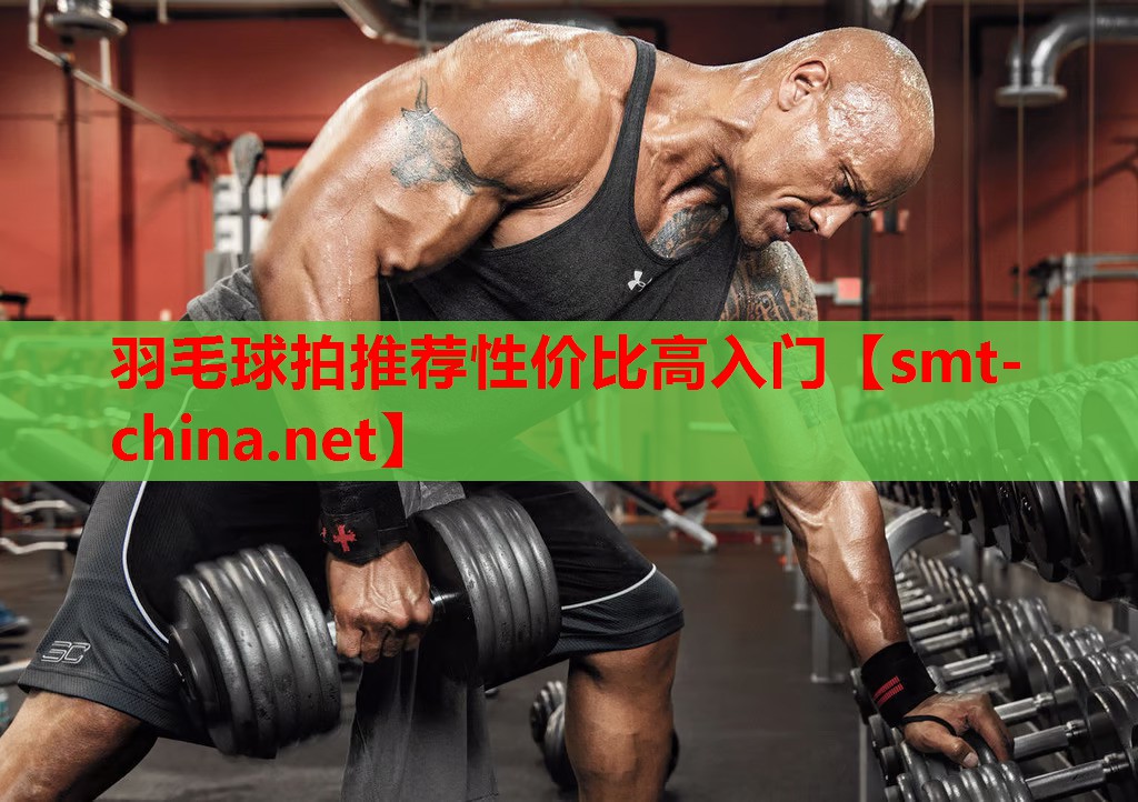 羽毛球拍推荐性价比高入门 羽毛球拍推荐性价比高入门