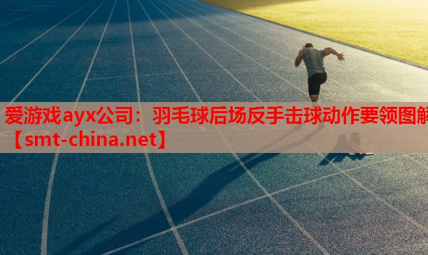 羽毛球后场反手击球动作要领图解 羽毛球后场反手击球动作要领图解